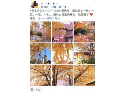 #愛上青島的一萬個(gè)理由#，熱交換器廠家青島瑞普特算一個(gè)