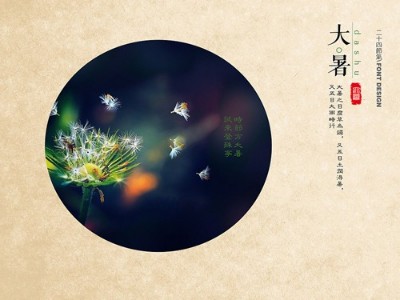 今日大暑，青島瑞普特分享夏日工作仿暑小妙招